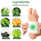 GFOUK™ Varicose Vein Relief Herbal Foot Patch